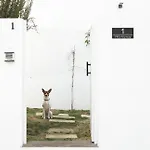 Anyway Conil Un Lujo Frente Al Mar Вилла Кониль-де-ла-Фронтера